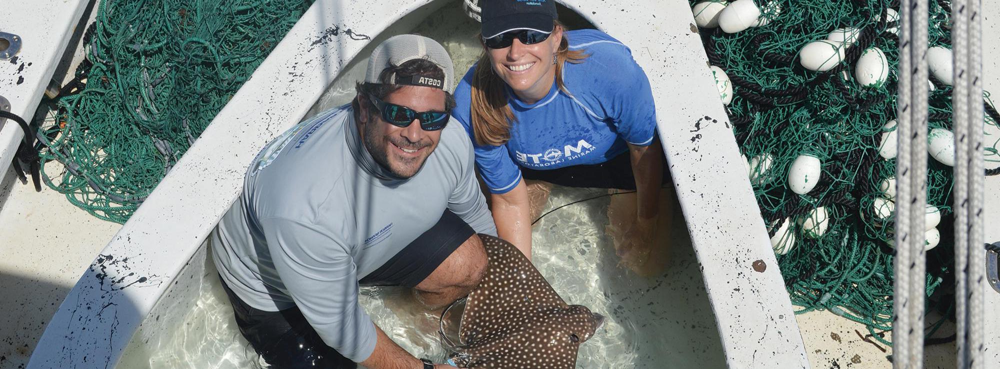 Shark and Ray Study First of Its Kind in Decades